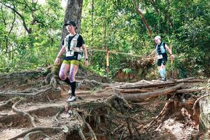 BIB: 
                            <button type="button" onclick="openModal(27718450)" class="btn btn-primary btn-sm float-right btn-popup" data-toggle="modal" data-target=".modal-high-quality">
                        <i class="fas fa-shopping-cart"></i> Add to Cart
                    </button>
                                            <button type="button" onclick="isThisMe(27718450, true)" class="btn btn-success btn-sm float-right btn-popup btn-isme hidden" data-toggle="tooltip" data-placement="bottom" title="นี่คือรูปของคุณใช่ไหม คลิกที่นี่เพื่อเอาเข้าอัลบั้ม">
                        <i class="fas fa-plus"></i> Add to album
                    </button>
                    <button type="button" onclick="isThisMe(27718450, false)" class="btn btn-warning btn-sm float-right btn-popup btn-isnotme hidden">
                        <i class="fas fa-ban"></i> Remove from album
                    </button>